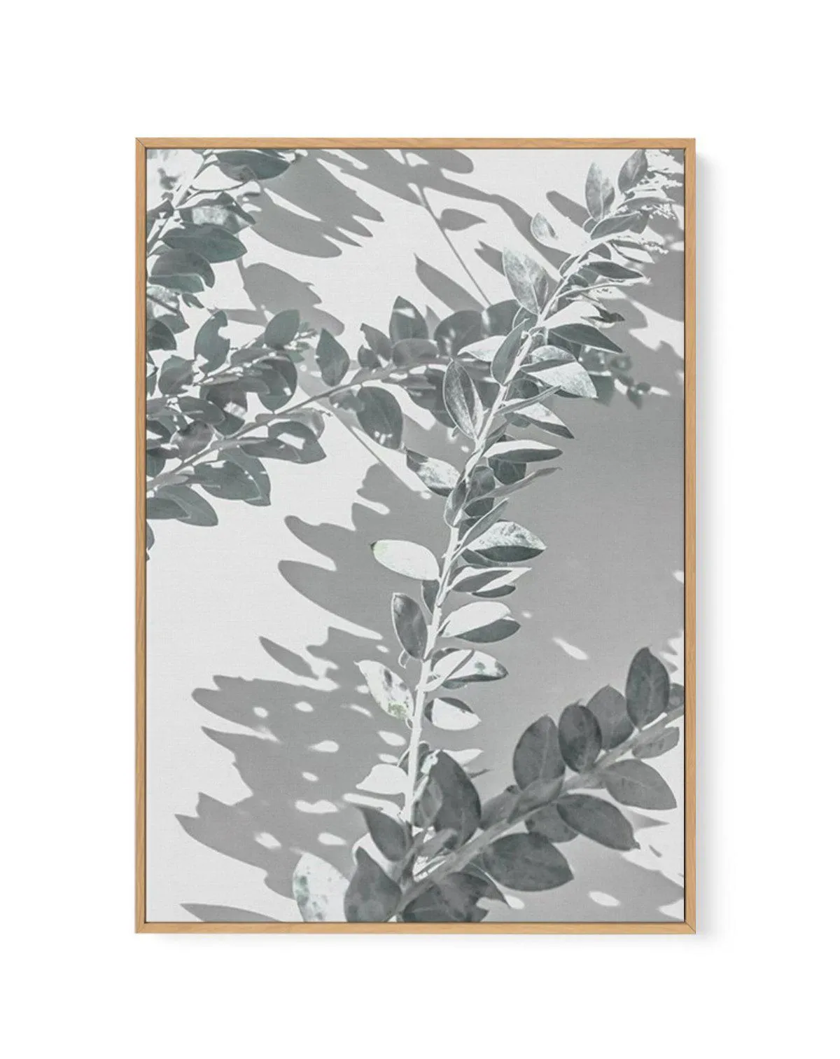 Abstract Leaves I | Framed Canvas Art Print