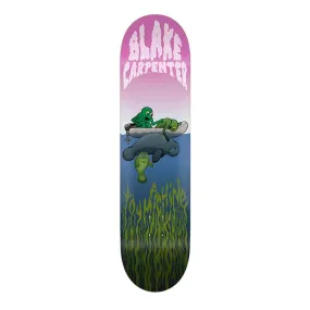 Blake Carpenter Manatee