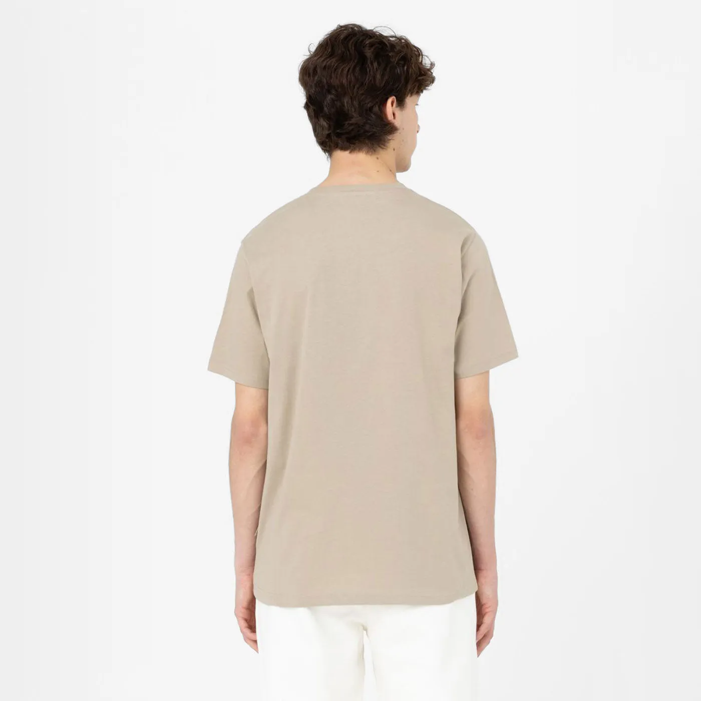 Dickies T-Shirt Mapleton Desert Sand