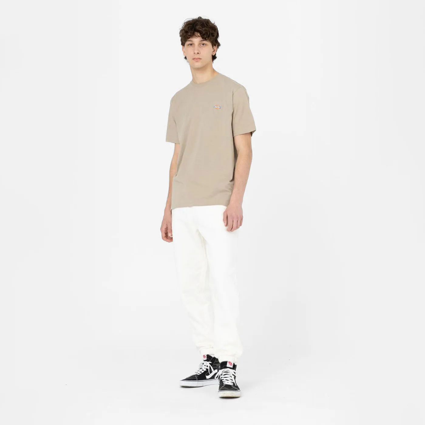 Dickies T-Shirt Mapleton Desert Sand