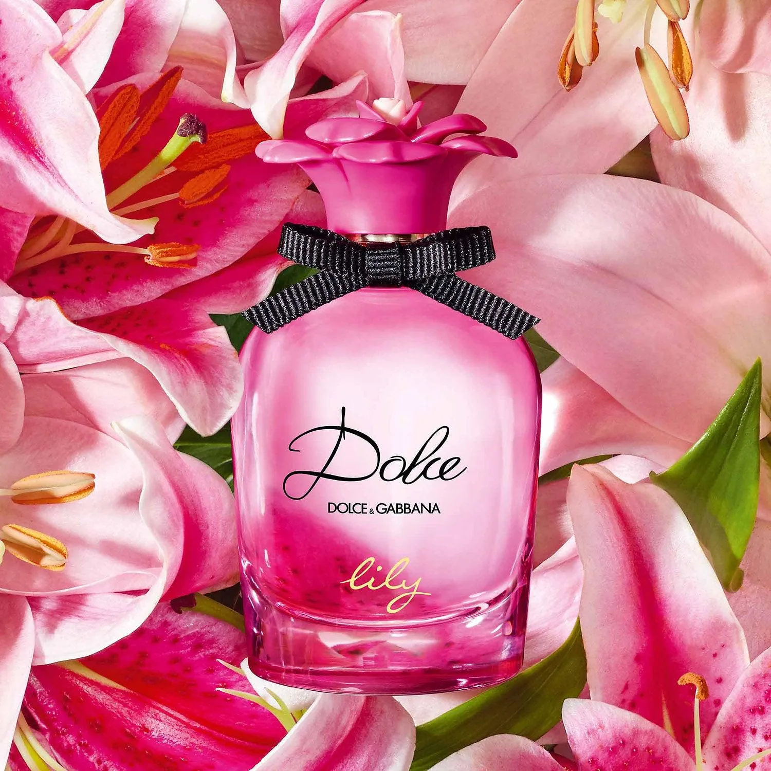 Dolce & Gabbana Lily for Women