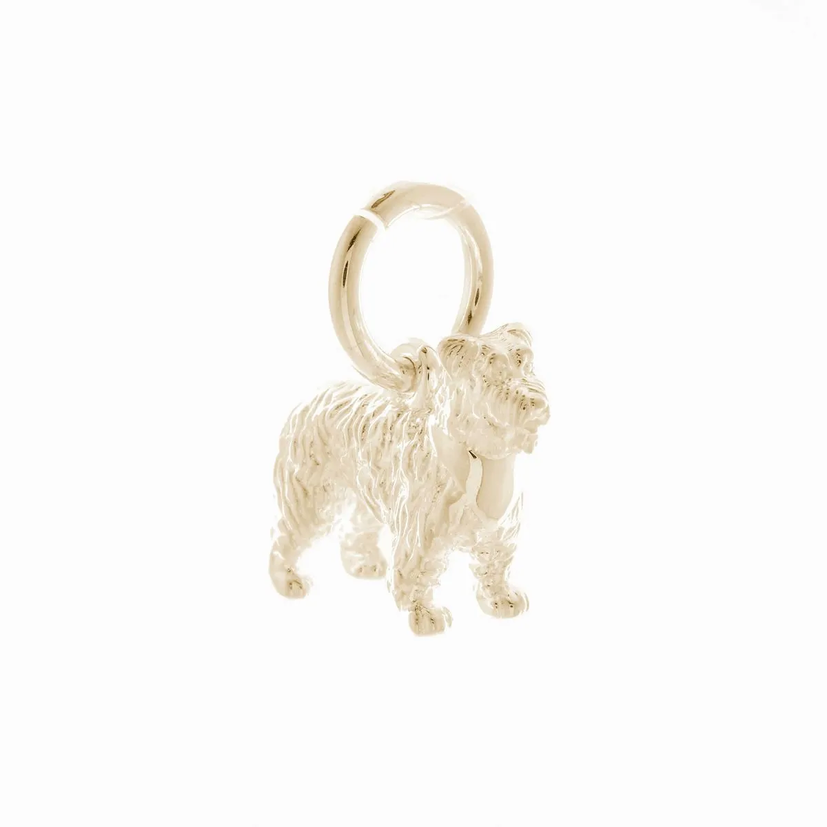 Miniature Schnauzer Solid Gold Dog Charm