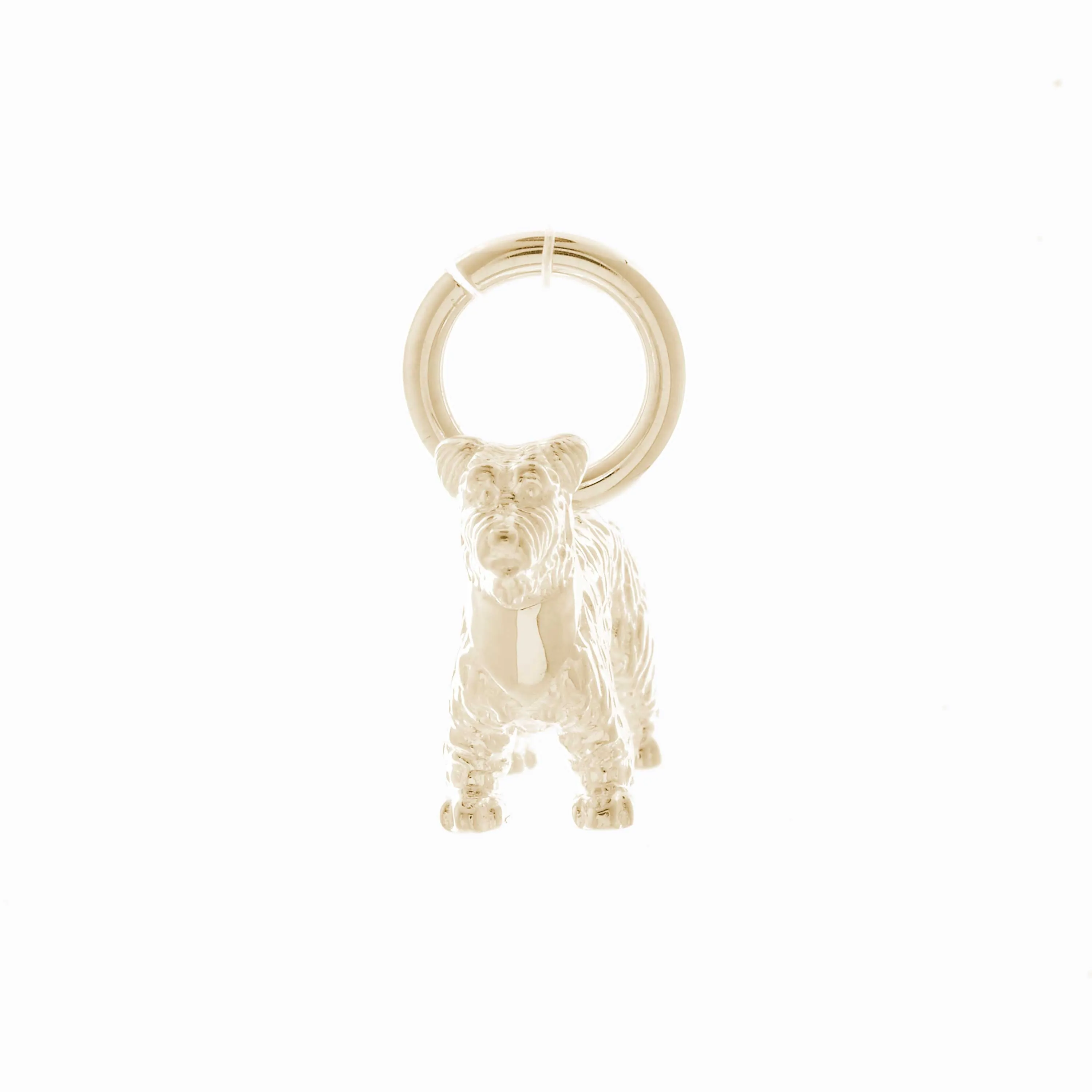 Miniature Schnauzer Solid Gold Dog Charm