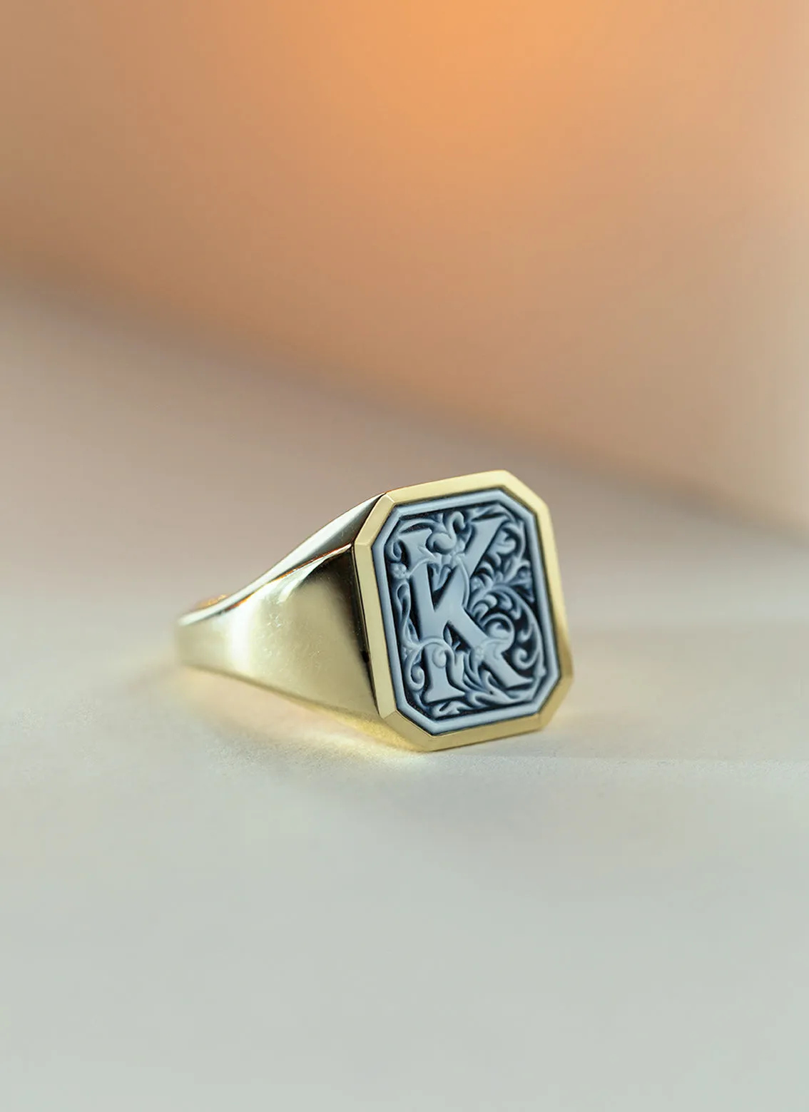 The gent vinny signet ring 14k gold