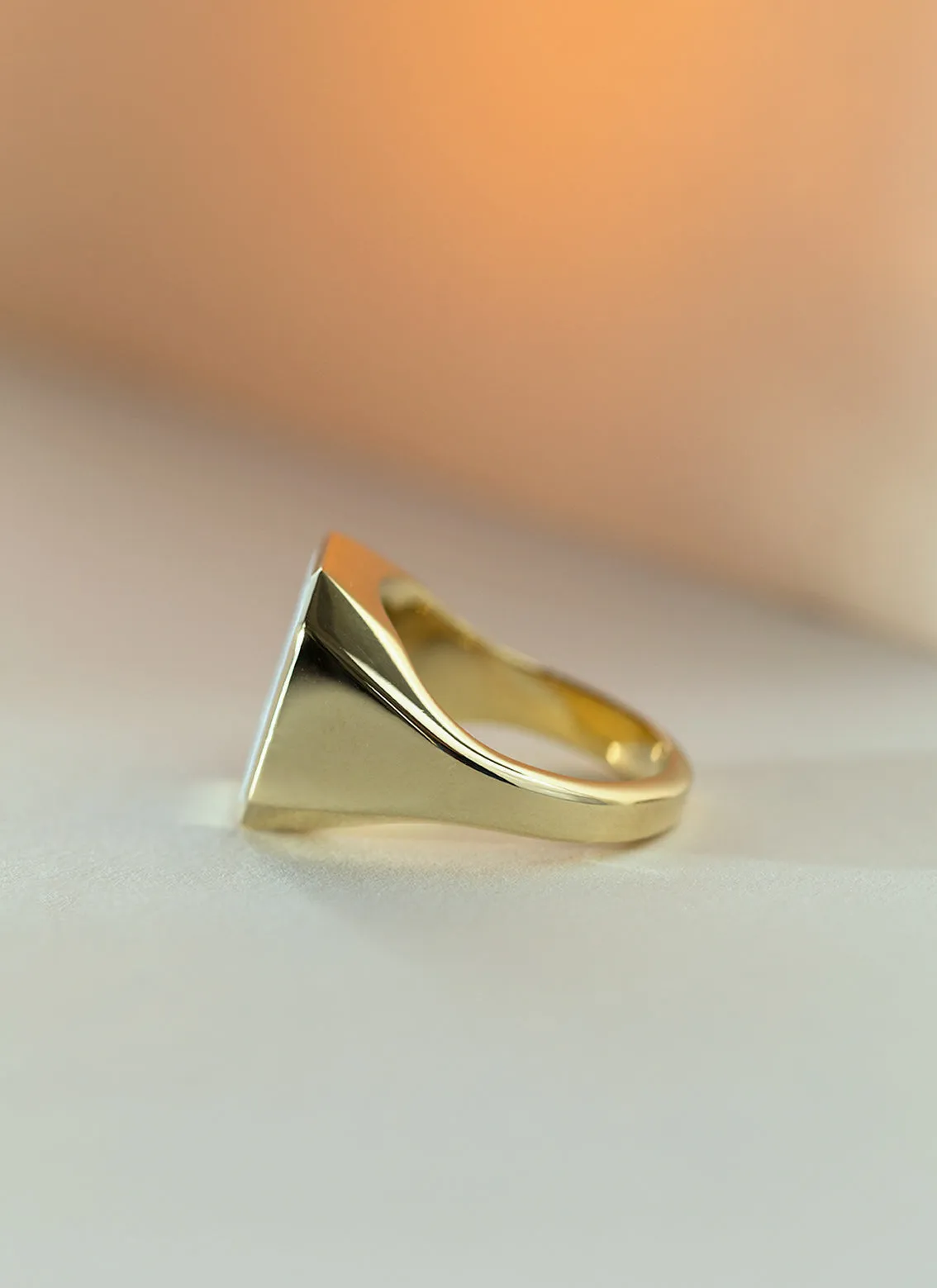 The gent vinny signet ring 14k gold